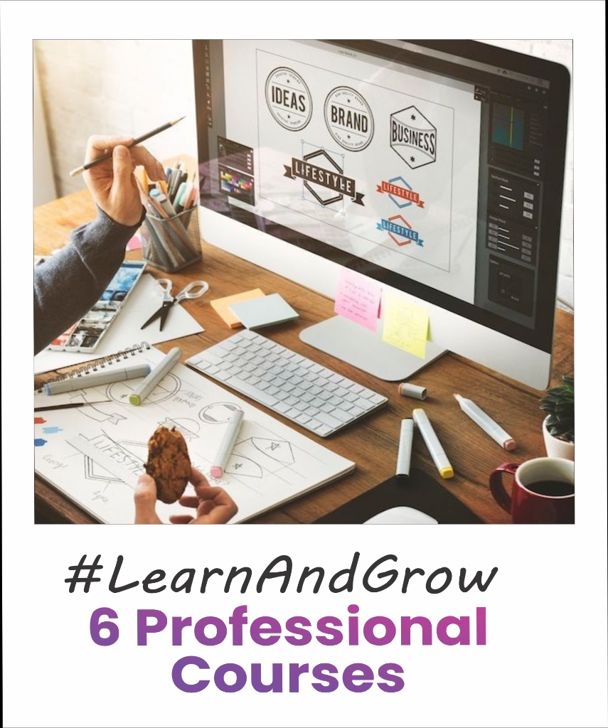 6 Professional Courses